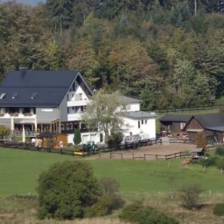 Ginsberger Heide Hotel Hilchenbach Cameră foto
