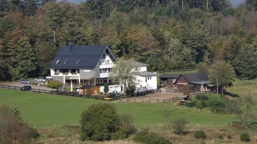 Ginsberger Heide Hotel Hilchenbach Cameră foto